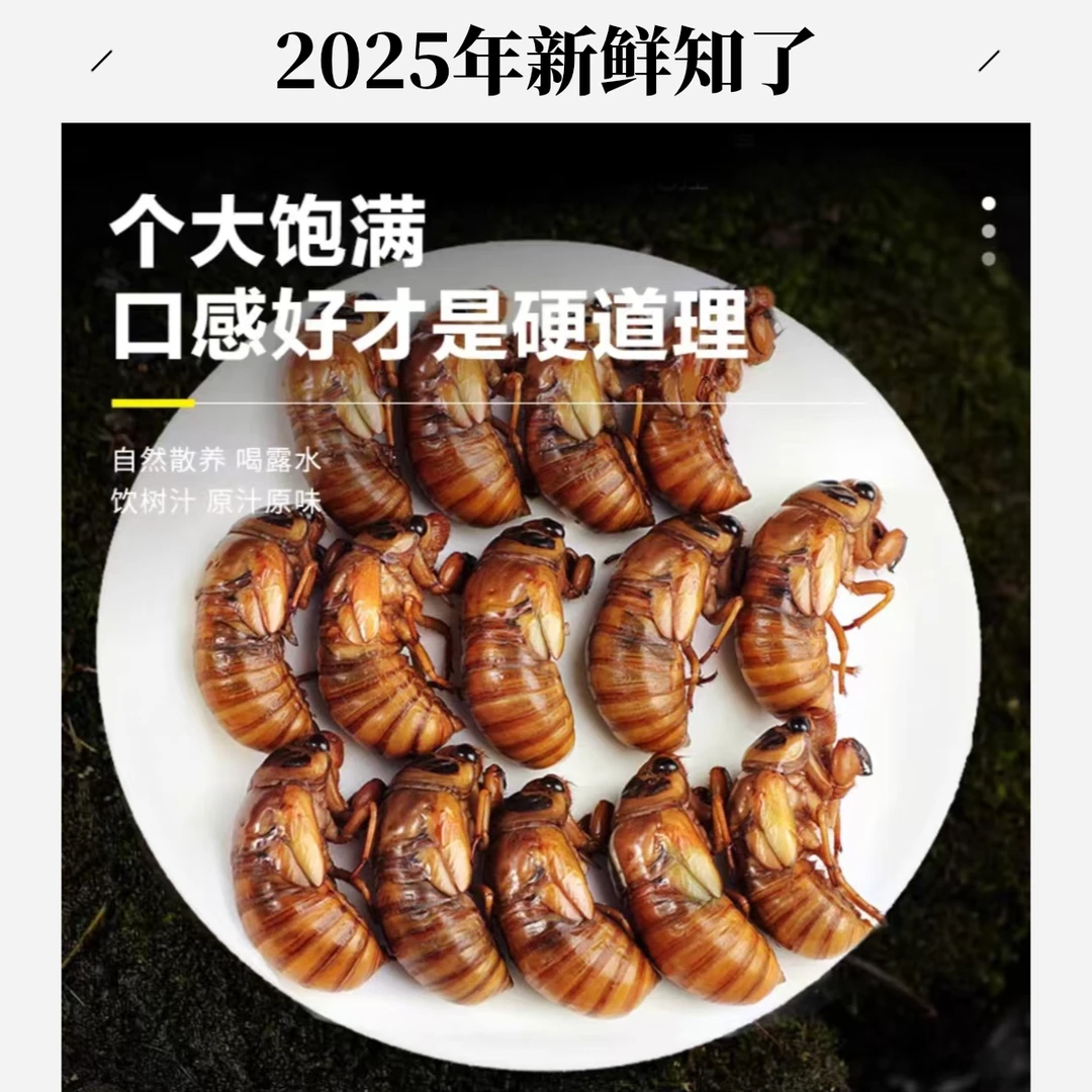 2025新蝉个大速冻