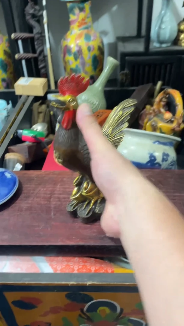 瓷片主播推荐精选好物