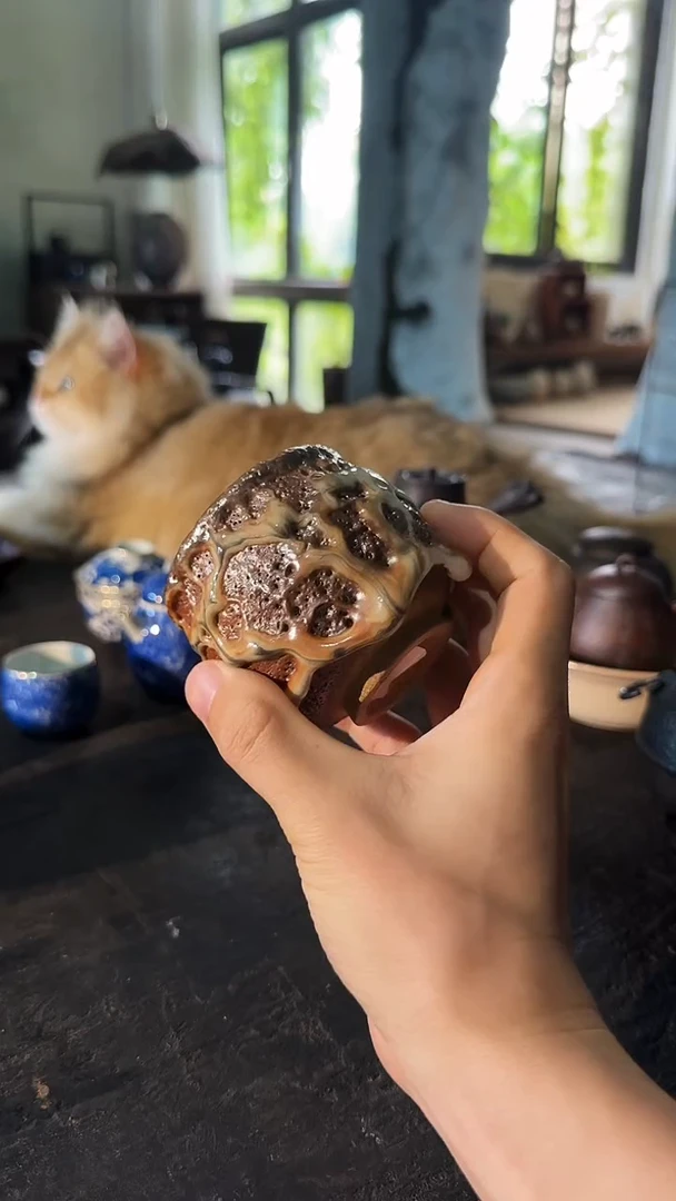 簡**単鱼和熊工作室手工陶艺