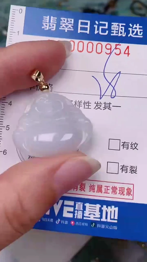 【闪购商品】翡翠颈饰未镶嵌00000954