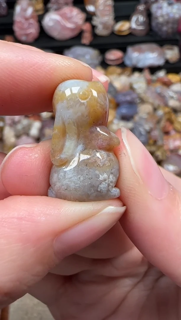 颈饰未镶嵌硅化珊瑚（珊瑚玉）324