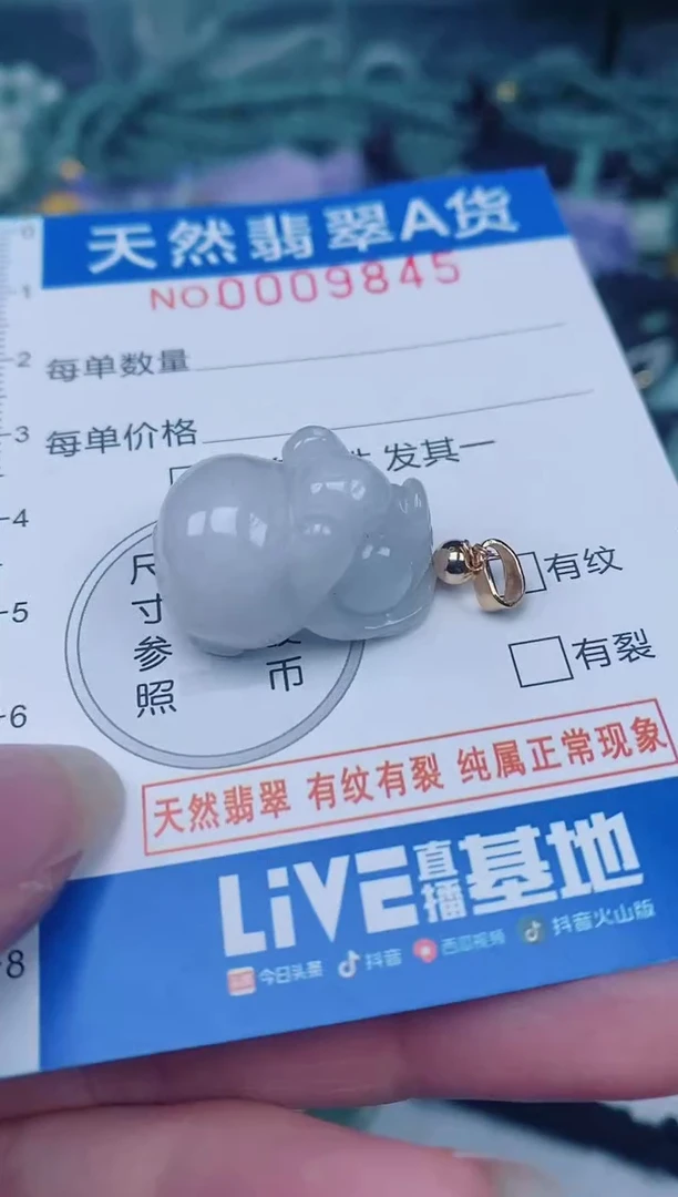 颈饰未镶嵌翡翠00009845