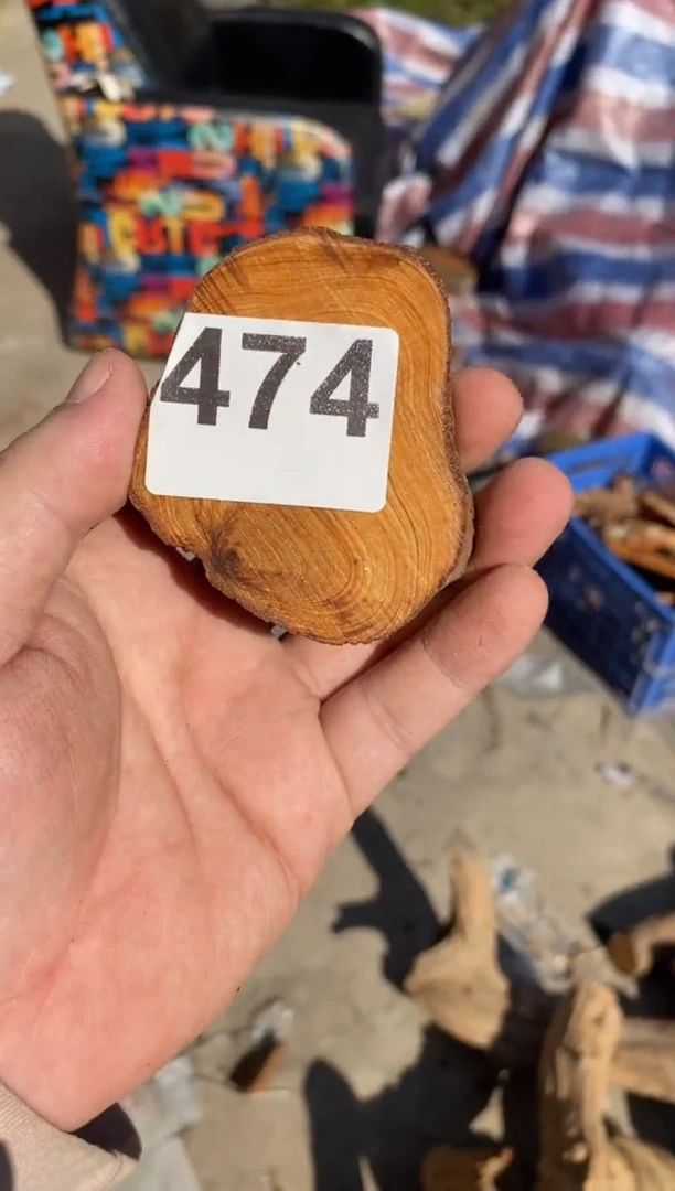 柏木（崖柏）太行陈化崖柏切片一块（津诚林）474