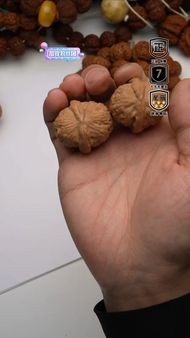 【闪购商品】金刚菩提手串2588888888