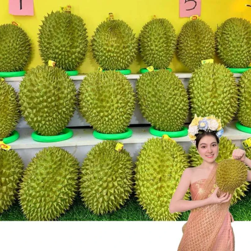 【整果】柳州同城泰国金枕鲜榴莲  核小 3--10斤金枕泰国
