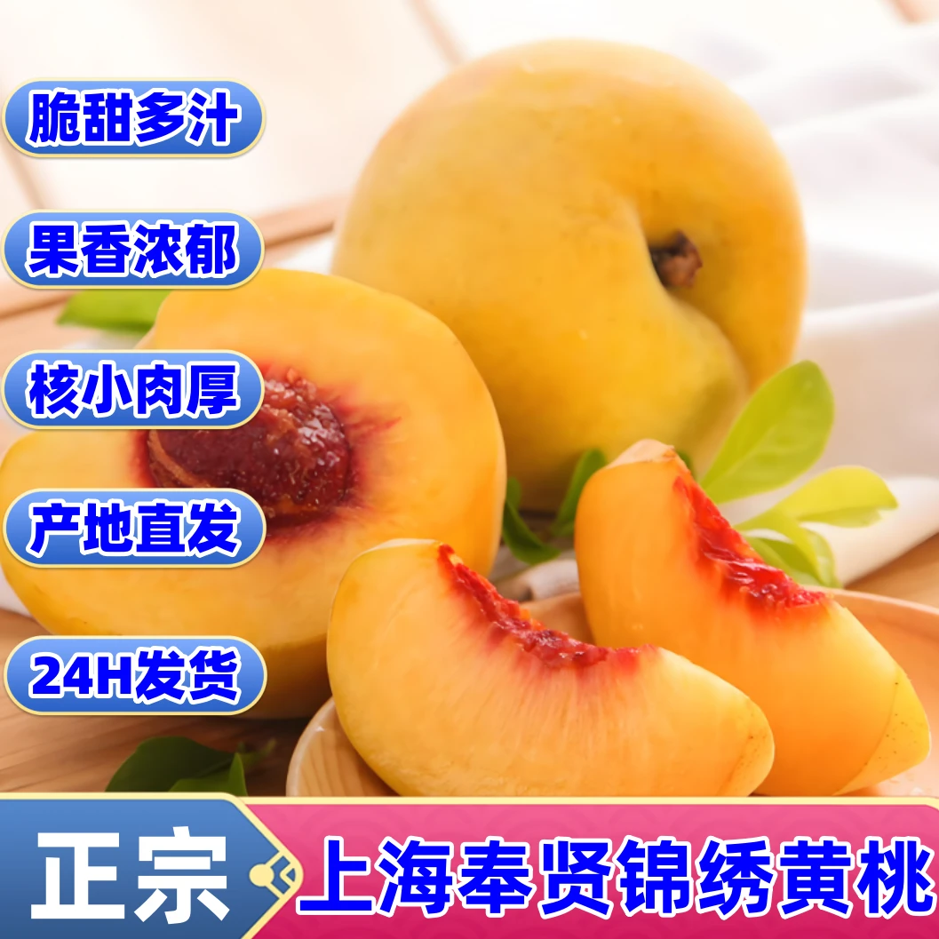 正宗上海奉贤光明锦绣黄桃现摘当季新鲜脆甜大桃子超甜整箱包邮