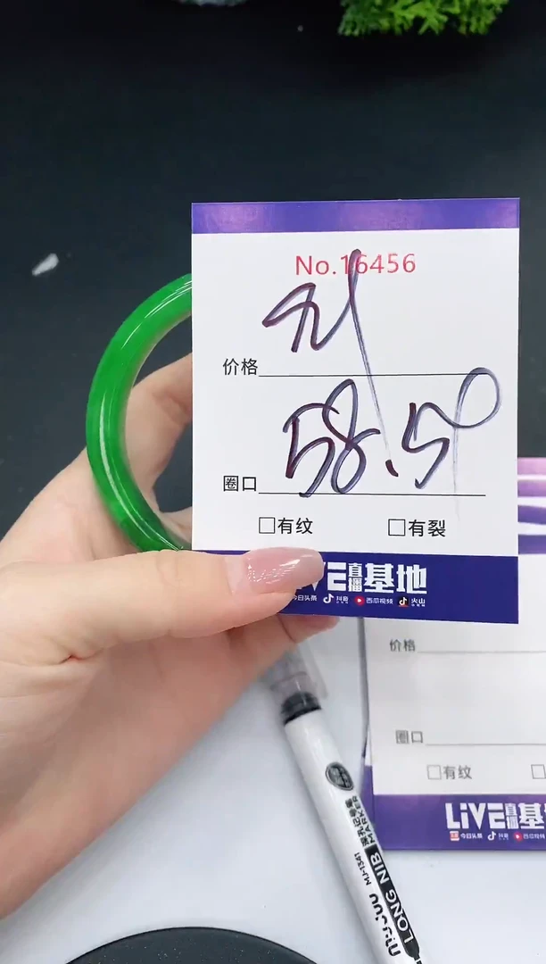 未镶嵌手镯翡翠16456