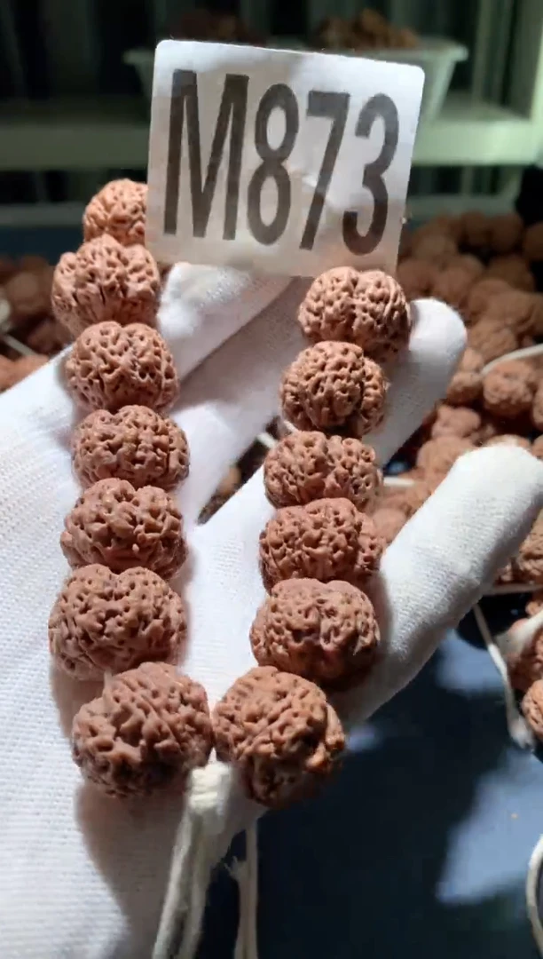 手串金刚菩提M000000873