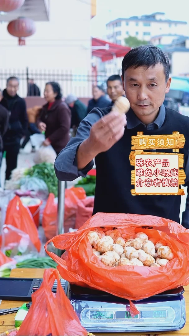 中国大陆农家去皮红芽芋子5斤