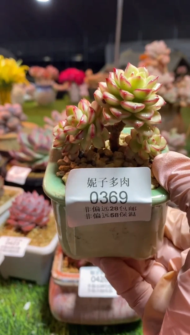 【闪购商品】0369a