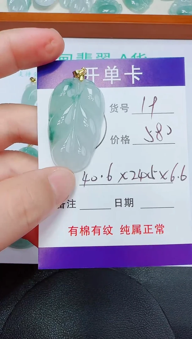 翡翠未镶嵌吊坠(赠链)19