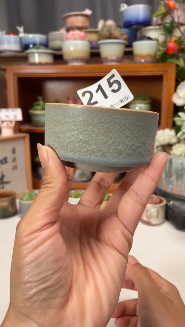 瓷片215知木小芳花盆直播编号