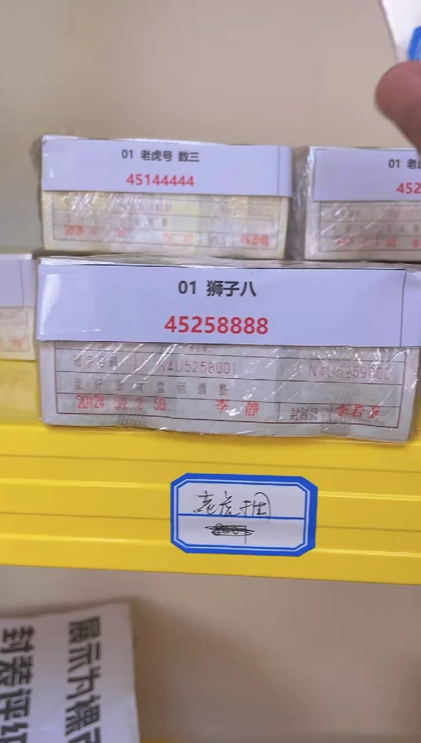 MZ 01 狮子八 45258888