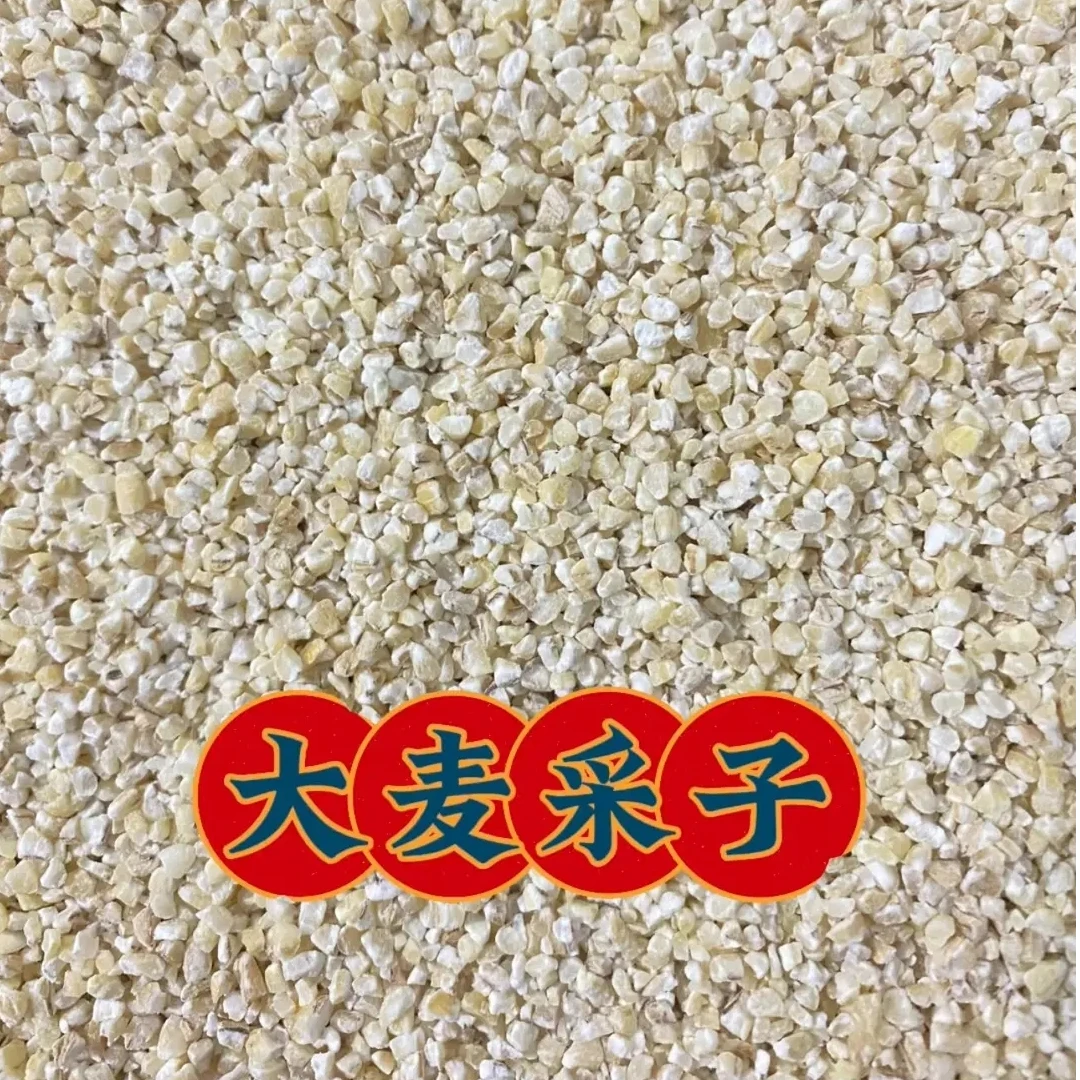 苏北特产 大麦采子