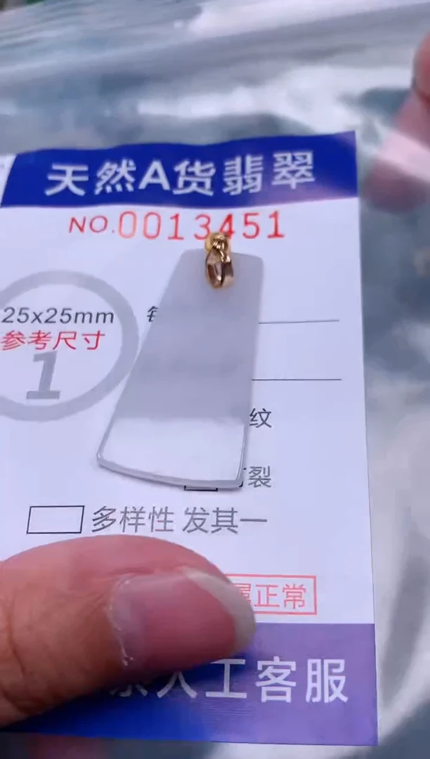 翡翠未镶嵌吊坠(赠链)1