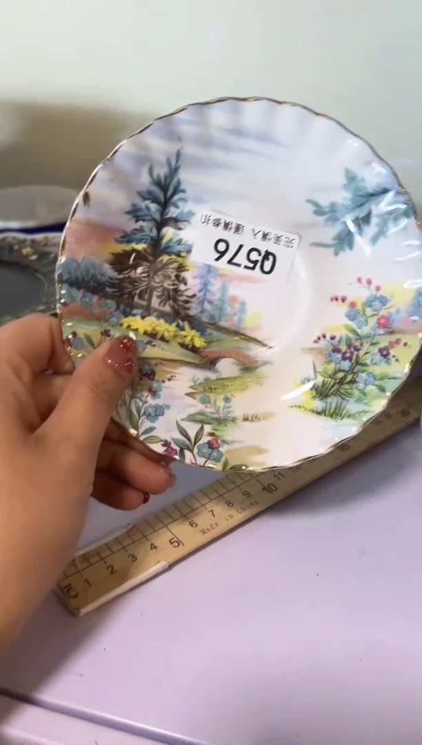 【闪购商品】瓷片576qqqqqqqqqqqq