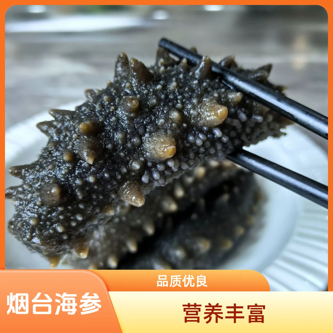 鲜食海参6头/斤烟台正宗即食海参 码头直发速冻顺丰包邮