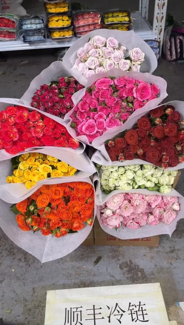 多头玫瑰5扎（任意4到5个品种）
