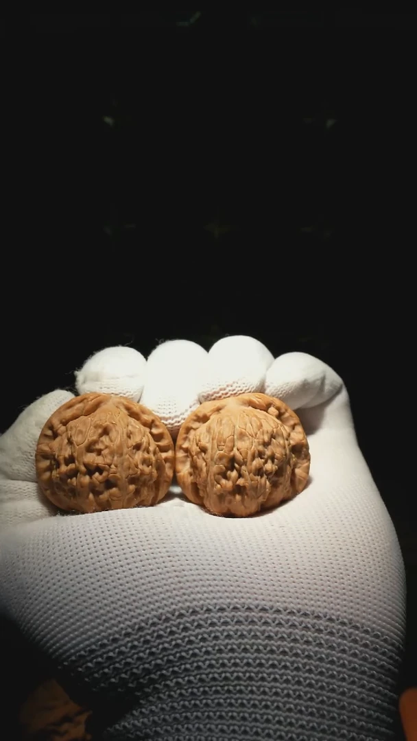 把件文玩核桃白狮子尺寸38全品无修