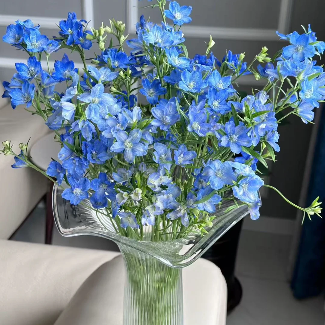 1单【顺丰】包邮（小飞燕）花期超长 高级稀有花材