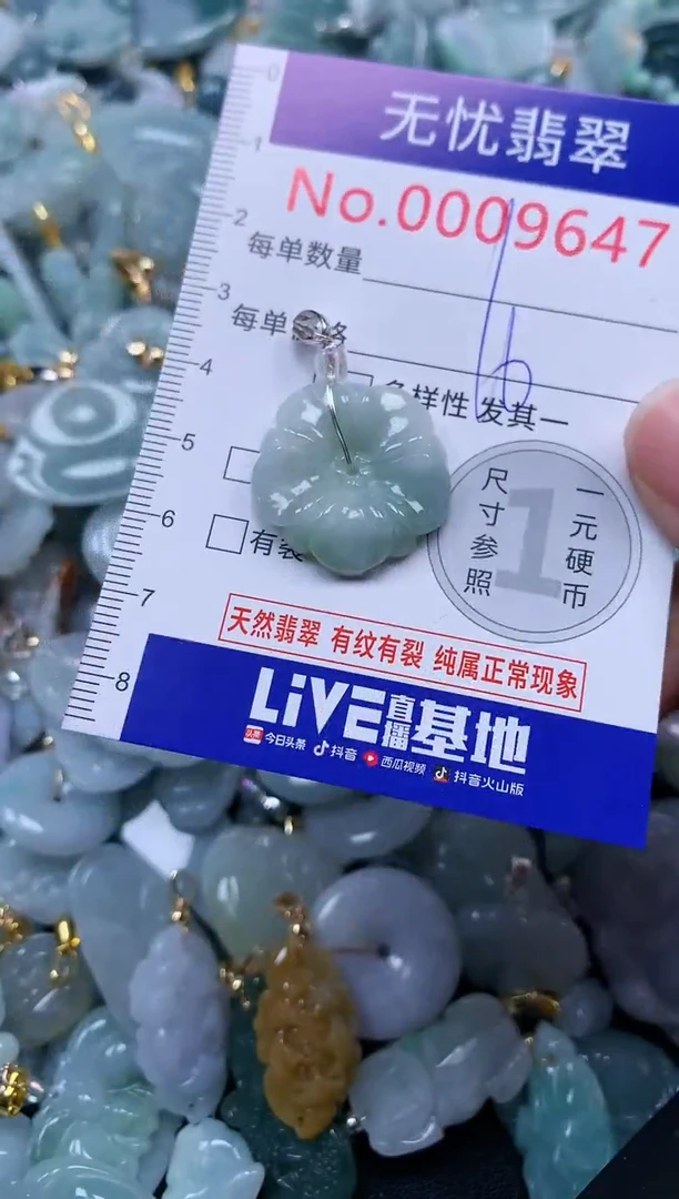 颈饰未镶嵌翡翠9647