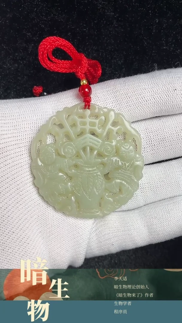 【闪购商品】和田玉吊坠(赠链)未镶嵌186