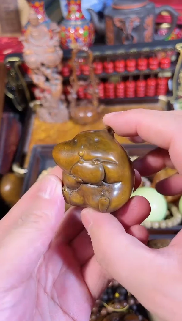 黄杨木1111111111111111111