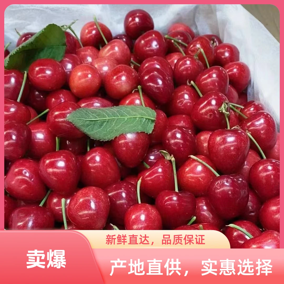 一件也是批发价！！大连陆地金鼎红大樱桃可口新鲜水果京东冷链包邮