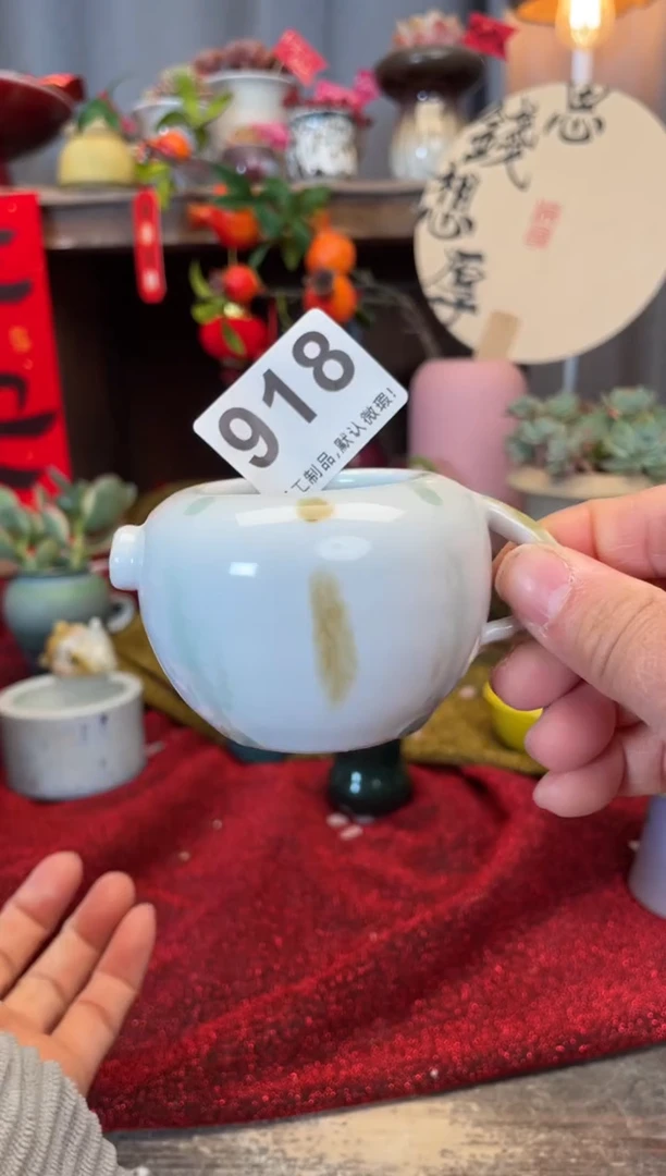 【闪购商品】摆件918知木小芳花盆