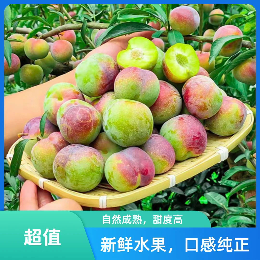 【食品城水果】蜂糖李子2斤-4斤贵州省