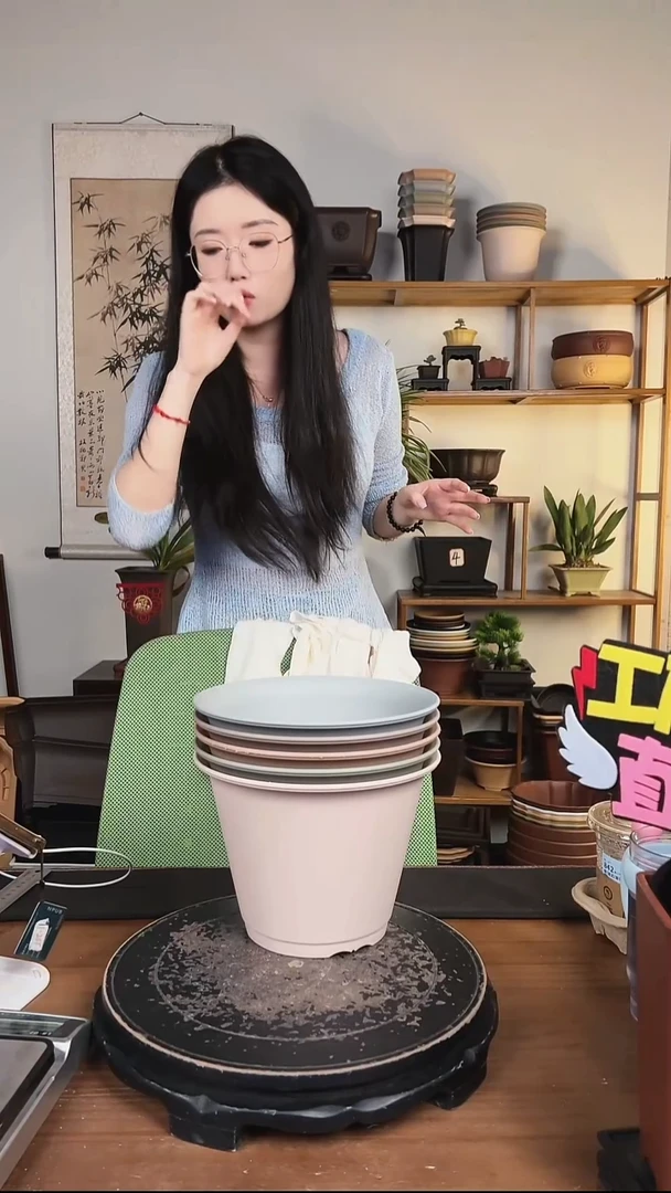 22*16双沿盆 马卡龙色系5只