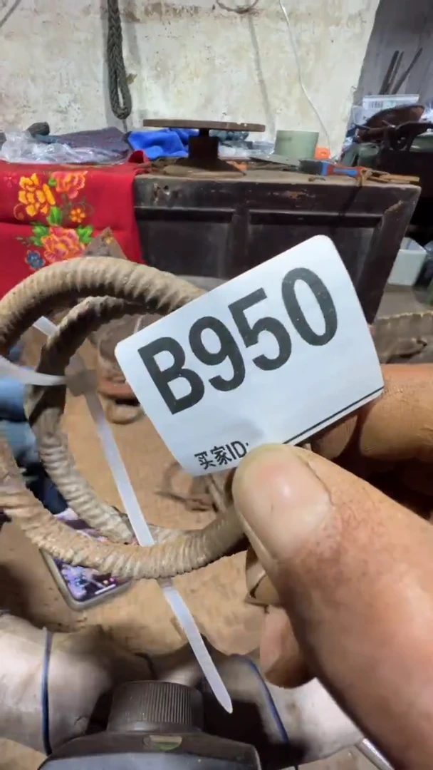 枫0818老王直播间专属链接