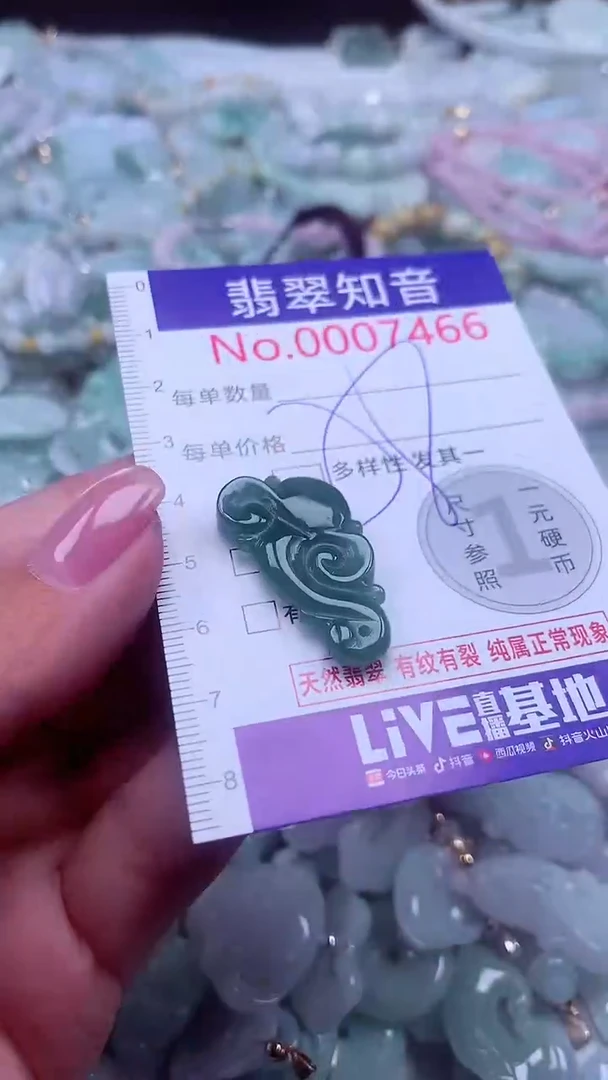 颈饰未镶嵌翡翠7466