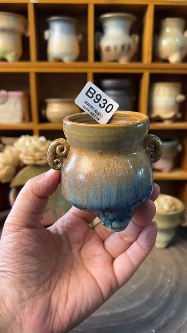 930 内口5【多肉花盆多肉盆】