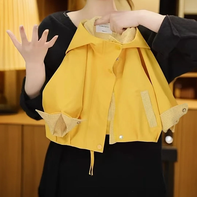 儿童套装春季2025新款韩版洋气连帽春装中小童超萌可爱春季两件套