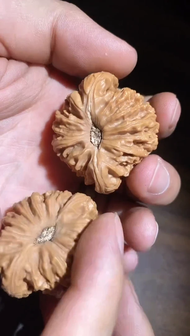 文玩核桃把件平*足微修打底南疆石42