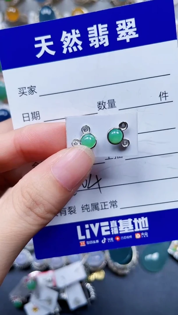银S925镶嵌翡翠耳饰704