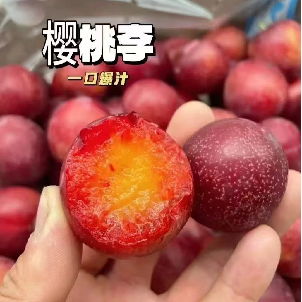 【南昌小时达】智利进口樱桃李（脆甜）2斤