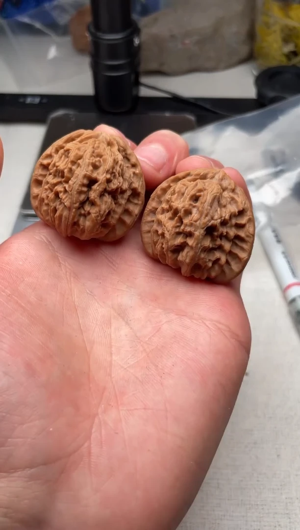 把件文玩核桃小白狮子