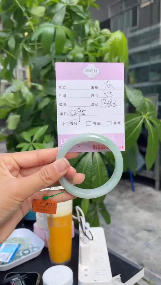 未镶嵌手镯翡翠G 55正圈 5295