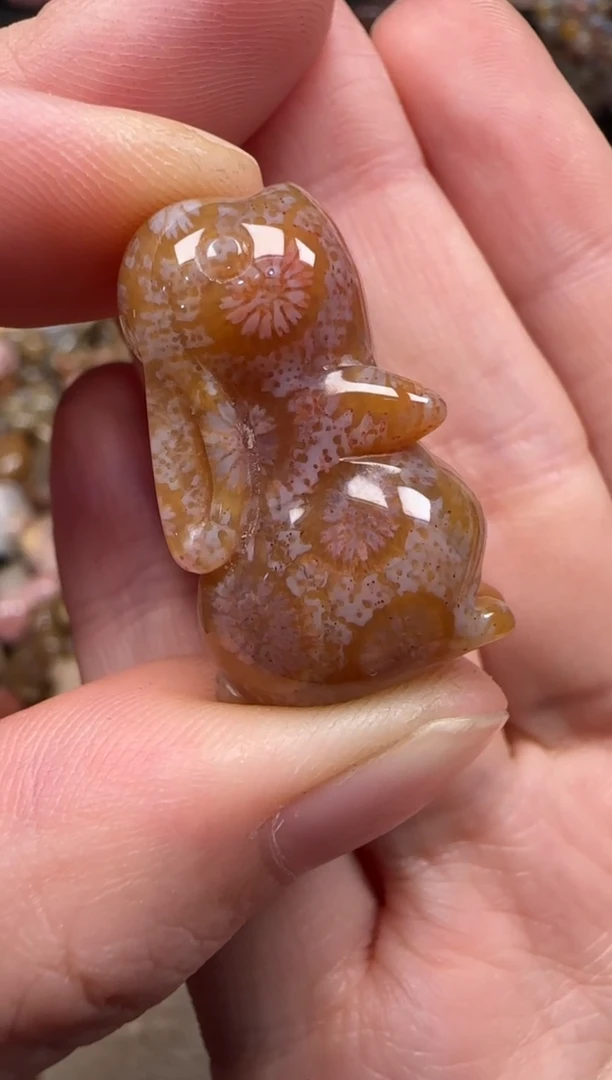 硅化珊瑚（珊瑚玉）未镶嵌颈饰782