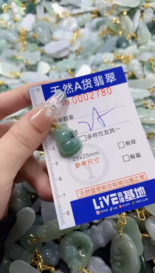 颈饰未镶嵌翡翠天然A货翡翠
