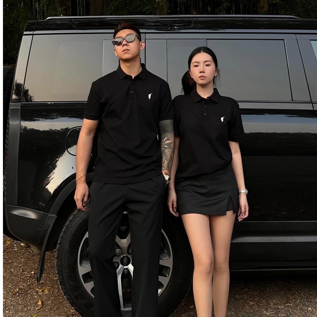 正确版本！夏季珠地棉短袖男士刺绣小马polo衫纯色翻领短袖T恤男