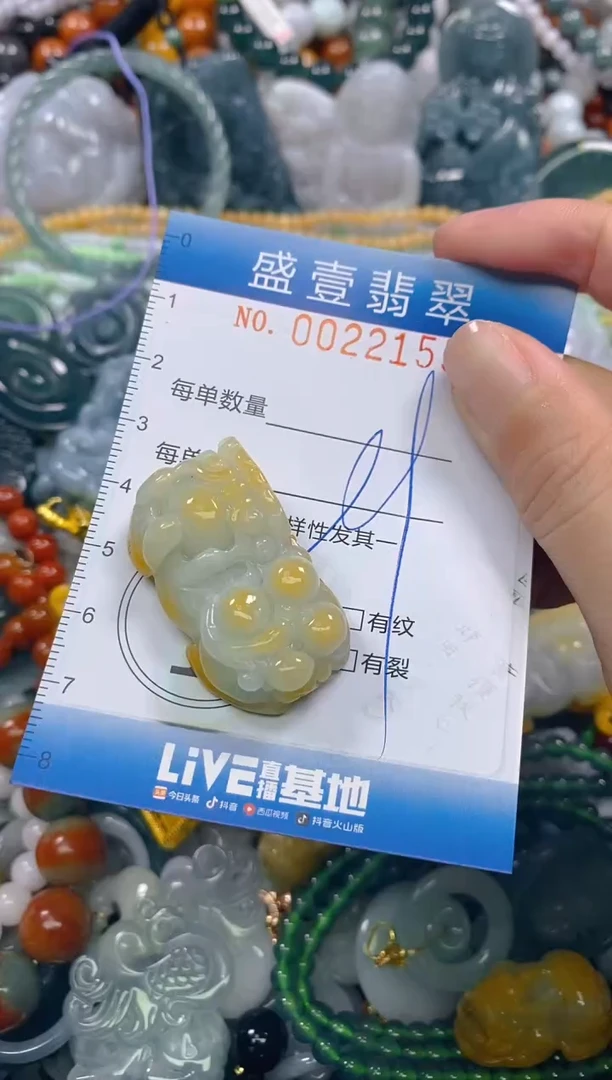 颈饰未镶嵌翡翠闪购0022155