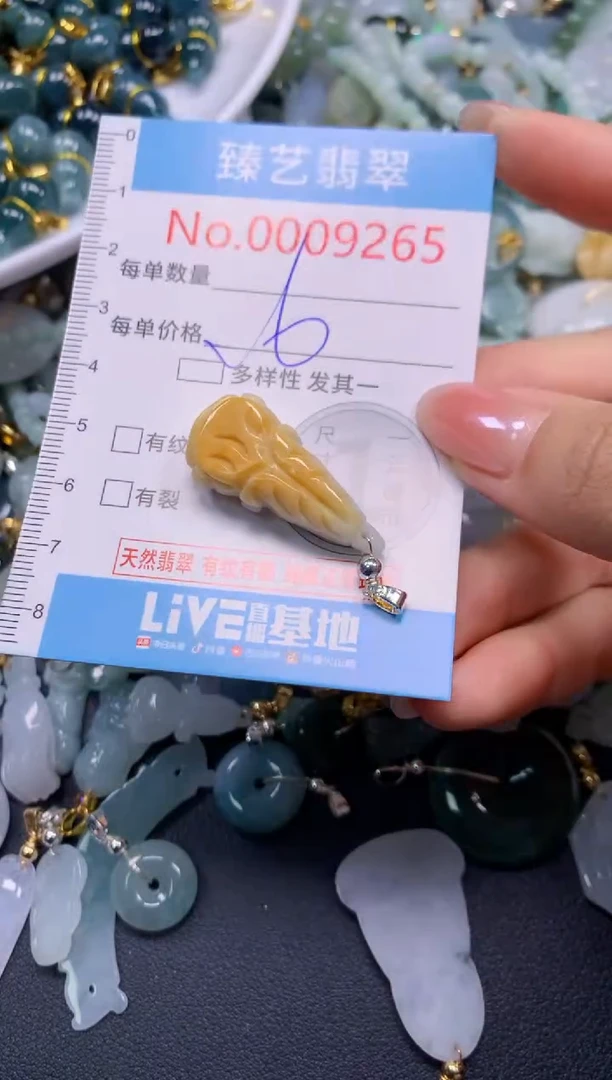 颈饰未镶嵌翡翠9265