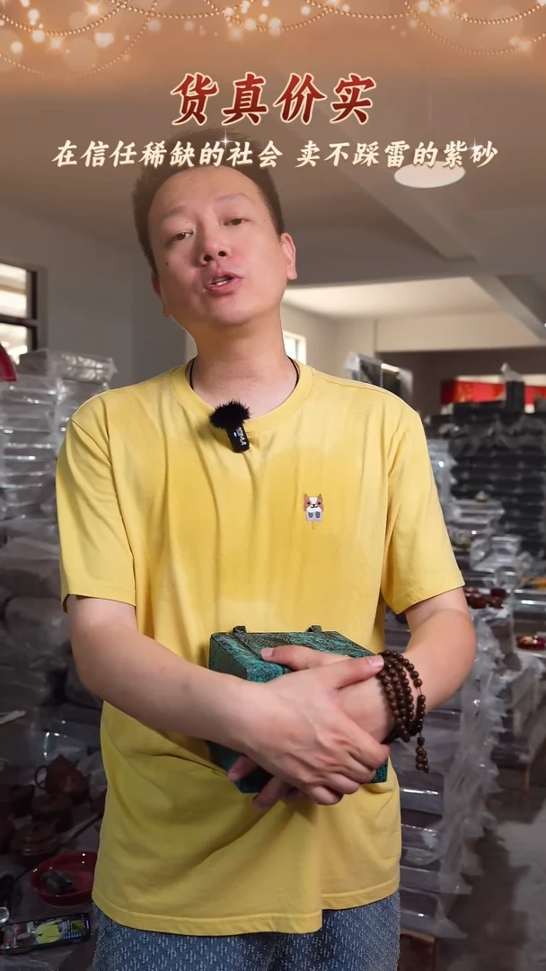 茶壶紫砂紫砂茶壶 低槽青 175cc