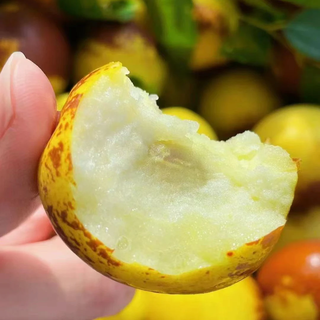 【散装】【Y/N】脆甜好吃的冬枣（份/净重3斤左右）仅限太原榆次可拍