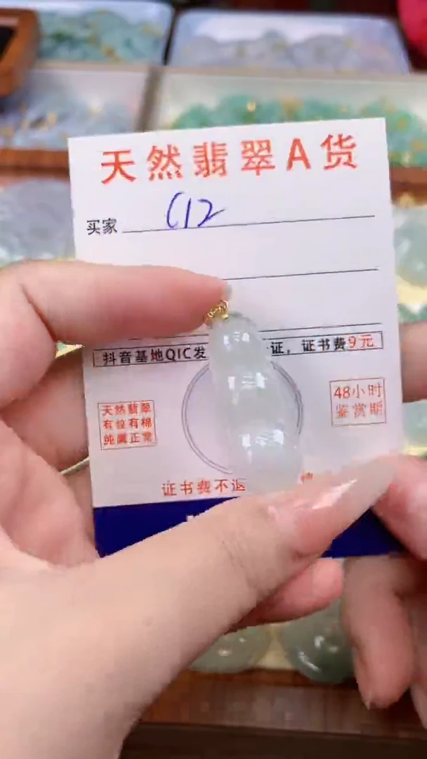 颈饰未镶嵌翡翠天然A货翡翠挂件