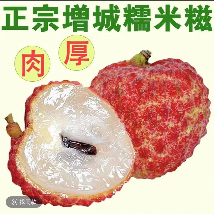 【顺丰冷链】正宗广东高州糯米糍老树荔枝王现摘现发新鲜应季水果