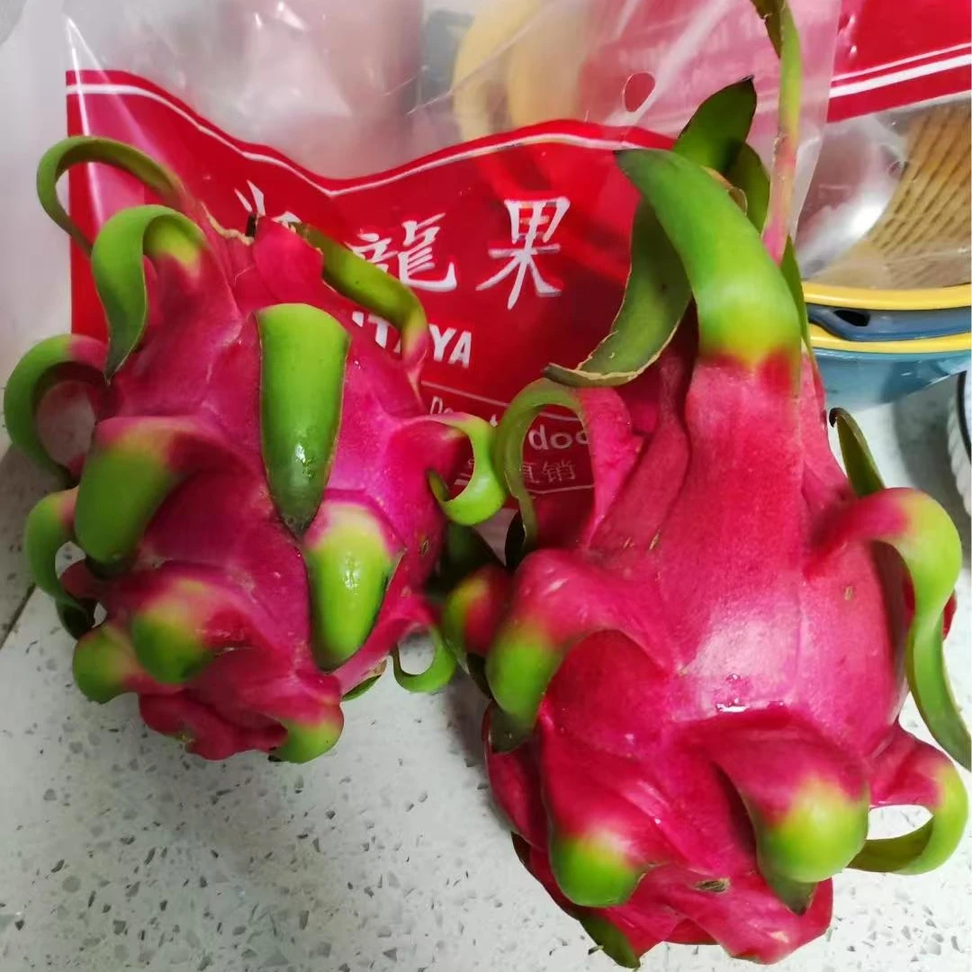 4个9.9金都火龙果约1600克